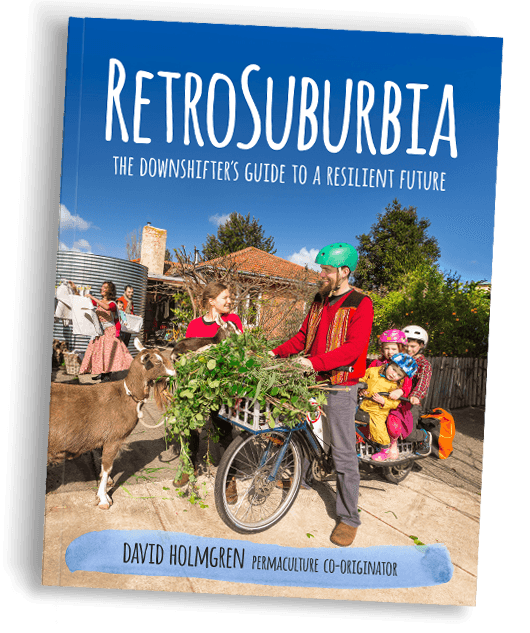 RetroSuburbia-The Downshifters Guide to a Resilient Future